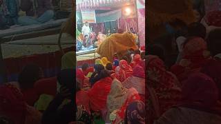 mata rani ka jagrata video Khairpura Ambika jagran party Vivek kashyap Khairpura [upl. by Akirahc]