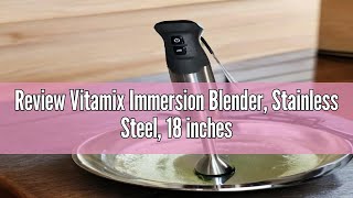 Review Vitamix Immersion Blender Stainless Steel 18 inches [upl. by Yrocal]