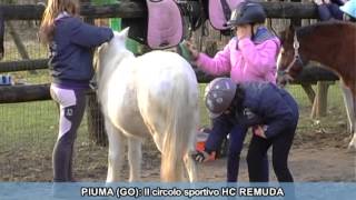 SPECIALE BIMBI A CAVALLO A GORIZIA [upl. by Auhsot]