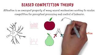 Biased Competition Theory  MinsEducation [upl. by Niras]