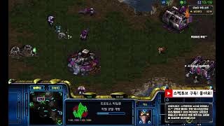 스펙튜브 Live 낮나들이 스타팀플 헌터 리마스터 StarCraft TeamPlay 20231226화 [upl. by Sredna]