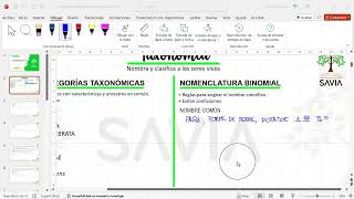 S14 Biología  Taxonomía y nomenclatura ABC [upl. by Tortosa612]