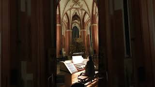 Metallica  Nothing Else Matters Andreas Patzwald an der Orgel in St Katharinen zu Brandenburg [upl. by Seabrooke]