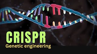 What is the role of CRISPR in Genetic engineering [upl. by Nodnol]