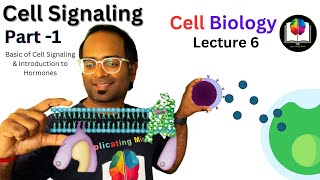 Cell Signaling and Hormone Introduction  Part 1  CSIR NET  DBT  GATE  ICMR NET [upl. by Maddeu]