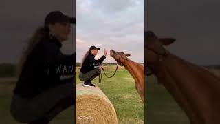 Edit konie 🧊🤗🥧 wojanowice horse edit [upl. by Varian340]