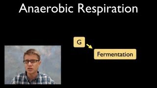 Anaerobic Respiration [upl. by Norha]