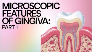 Microscopic features of gingiva I Dental  Keratinization in Gingival epithelium I [upl. by Dimo]