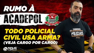 ARMAS na policia civil saiba cargo a cargo QUEM TEM O PORTE [upl. by Nongim]