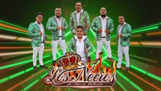 Los Necios De Tierra Caliente Ft Los Officiales  La Libreta 2023 [upl. by Ahsekar410]