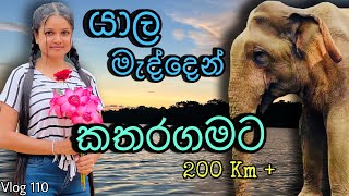 අනූ නවයෙන් අලියගෙන් බේරුනේ  Buttala katharagama road  Elephant attack  20 days tripWolfyVlogs [upl. by Gaven]