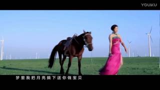 苏勒亚其其格【歌在飞】原版MV [upl. by Peggir]