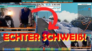 Alpe du Zwift  Anfänger [upl. by Trust]