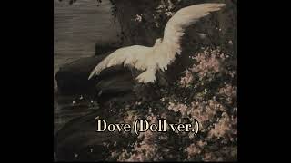 Dove Doll ver Instrumental A bit slowed [upl. by Jola]