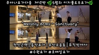 주아나요가다움 저녁반 🌿5월의 이지플로우요가🌿 quotWelshly Arms  Sanctuaryquot 전신근력│음악요가│유산소운동│뮤직빈야사수원요가 호매실요가 [upl. by Seif]