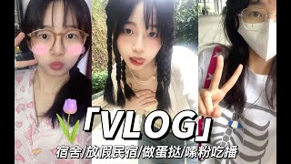 【鱼干VLOG】突然被学校赶回家放假了？！宿舍民宿嗨皮做蛋挞吃播 [upl. by Anele]