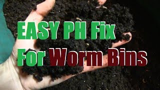 Troubleshooting PH Problems in Worm Bins [upl. by Sugden]