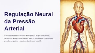 Aula Regulação Neural da Pressão Arterial [upl. by Goltz507]