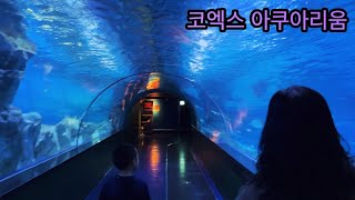 COEX AQUARIUM Seoul South Korea [upl. by Camilo]