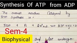 synthesis of ATP from ADP  semester4  Bioenergetics  Msc chemistry notes [upl. by Odnomor]