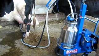 Portable milker by Milkwell To Buy Contact  9416003826  wame919416003826 [upl. by Kathye222]