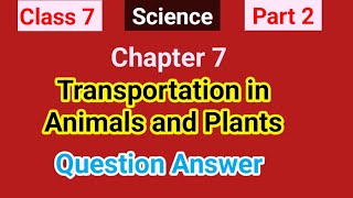 Class 7  Science  Part 2  Transportation in Animals and Plants QuestionandAnswer [upl. by Hedelman]