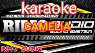 CAMELIA Karaoke [upl. by Annayd]