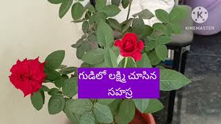 గుడిలో లక్ష్మిని చూసిన సహస్ర [upl. by Reifinnej874]