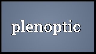 Plenoptic Meaning [upl. by Lyndon]