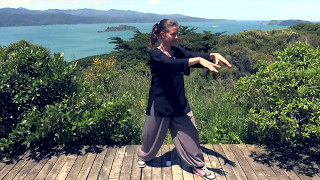 Tai Chi 5 Minutes a Day Module 01  Easy for Beginners  the Wave and Embracing the Moon [upl. by Eldrid]