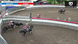 RODEO OFICIAL CLUB SAN FRANCISCO DE MOSTAZAL ASOCIACION OHIGGINS  PRIMERA SERIE [upl. by Roosevelt]