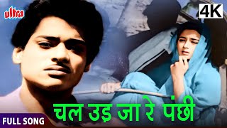 4K अब देखिये रंगीन मैं  चल उड़ जा रे पंछी  Bhabi  Balraj Sahni Nanda  Mohammed Rafi [upl. by Chinua898]