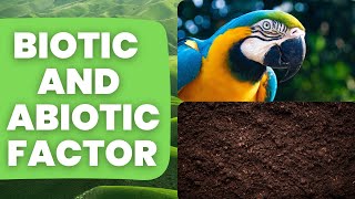 Ecosystems  What are Biotic amp Abiotic Factors [upl. by Eelak]