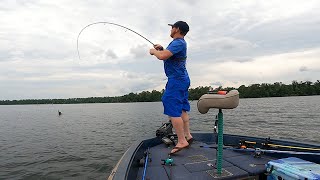 Bass Fishing  Drop Shot And Flipping [upl. by Calv]