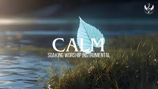 Calm  Soaking Worship Instrumental  Prayer and Devotional [upl. by Attenor]