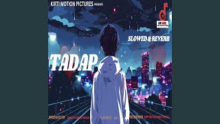 Tadap Slowed amp Reverb [upl. by Lowenstein167]