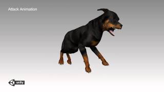 Rottweiler Animations Demo [upl. by Hoffer451]