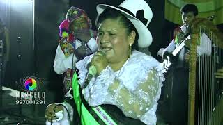 CONDEMAYTA DE ACOMAYO  MIX DE HUAYNOS EN VIVO [upl. by Nerhtak816]