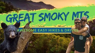 EPIC EASY DAY HIKES IN GREAT SMOKY MOUNTAINS  The 7 best adventures that anyone can do [upl. by Nylatsyrk]