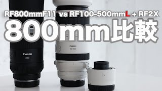 「RF800mm F11 vs RF100500mm L  RF2X 800mm対決」 [upl. by Anallese]