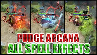 DOTA 2 Pudge Arcana All Spell Effects and Animations [upl. by Koenig370]