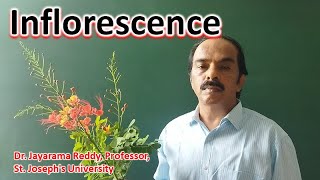 Inflorescence Types Plant Taxonomy Dr Jayarama Reddy St Josephs University Bengaluru India [upl. by Aicsila]