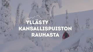 Ylläs  kYllästyttääkö kiire Yllästy kansallispuiston rauhasta [upl. by Nayarb34]