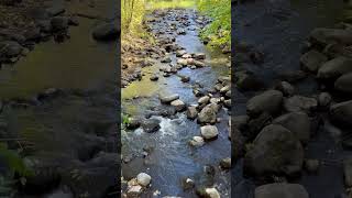 Nine Mile Creek in Bloomington Minnesota nature exploreminnesota [upl. by Callum775]