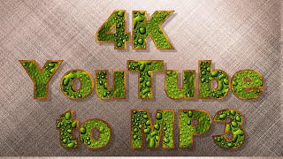 4K YouTube to MP3 [upl. by Ailisab]