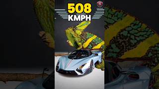 SSC TUATARA 🔥 tuatara shorts cars [upl. by Hareehat]