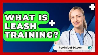 What Is Leash Training  PetGuide360com [upl. by Ailehc322]