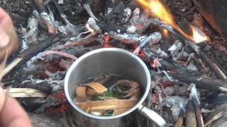 Bushcraft und Birkenbast Kambium [upl. by Eilsehc967]