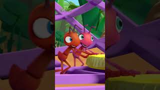 Do Not Steal  Antiks 🐜  Funny Cartoons for Kids [upl. by Aciretehs]