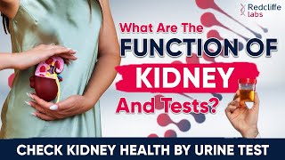 Urine Test for Kidney Health  kidney ख़राब होने के लक्षण  किडनी के लिए कौन से टेस्ट होते हैं [upl. by Ellingston880]